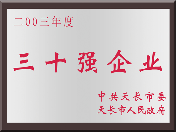 2003年度三十强企业