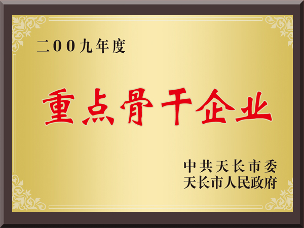 2009年度重点骨干企业