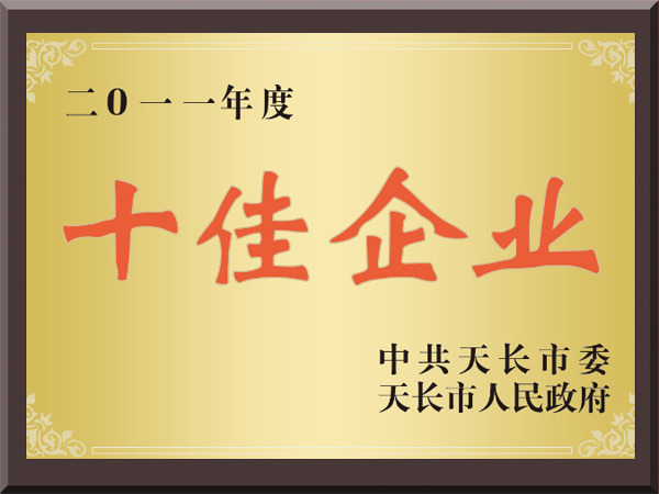 2011年度十佳企业